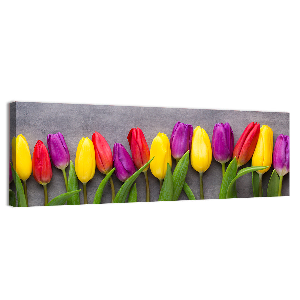 Row of Multicolored Tulips Wall Art