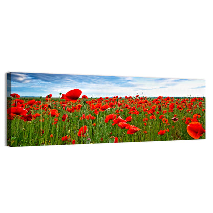 Red Poppy Field Wall Art
