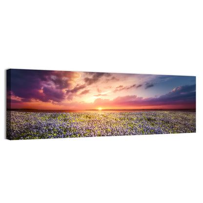Texas Bluebonnet Sunset Wall Art