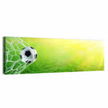 Sunlit Soccer Ball in Net Wall Art