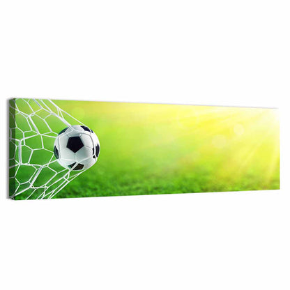 Sunlit Soccer Ball in Net Wall Art