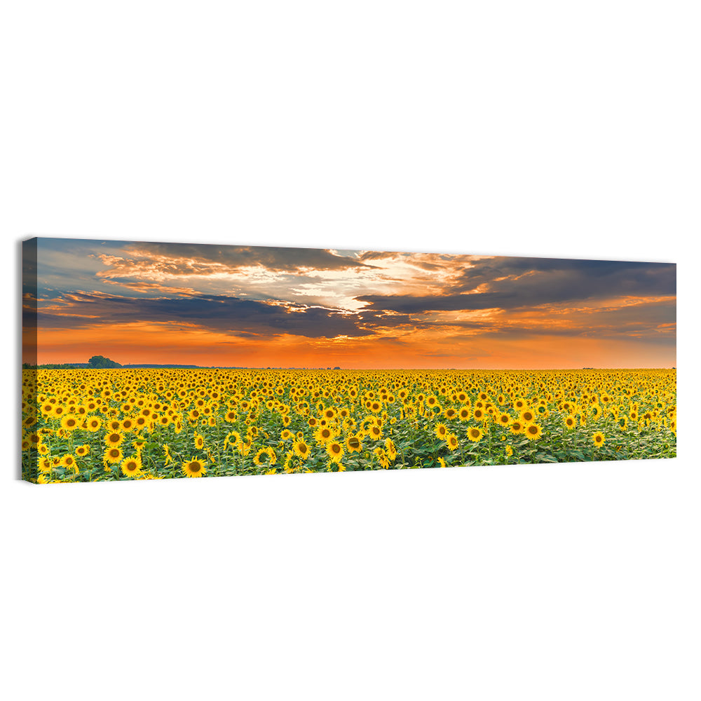 Golden Hour Sunflower Field Wall Art