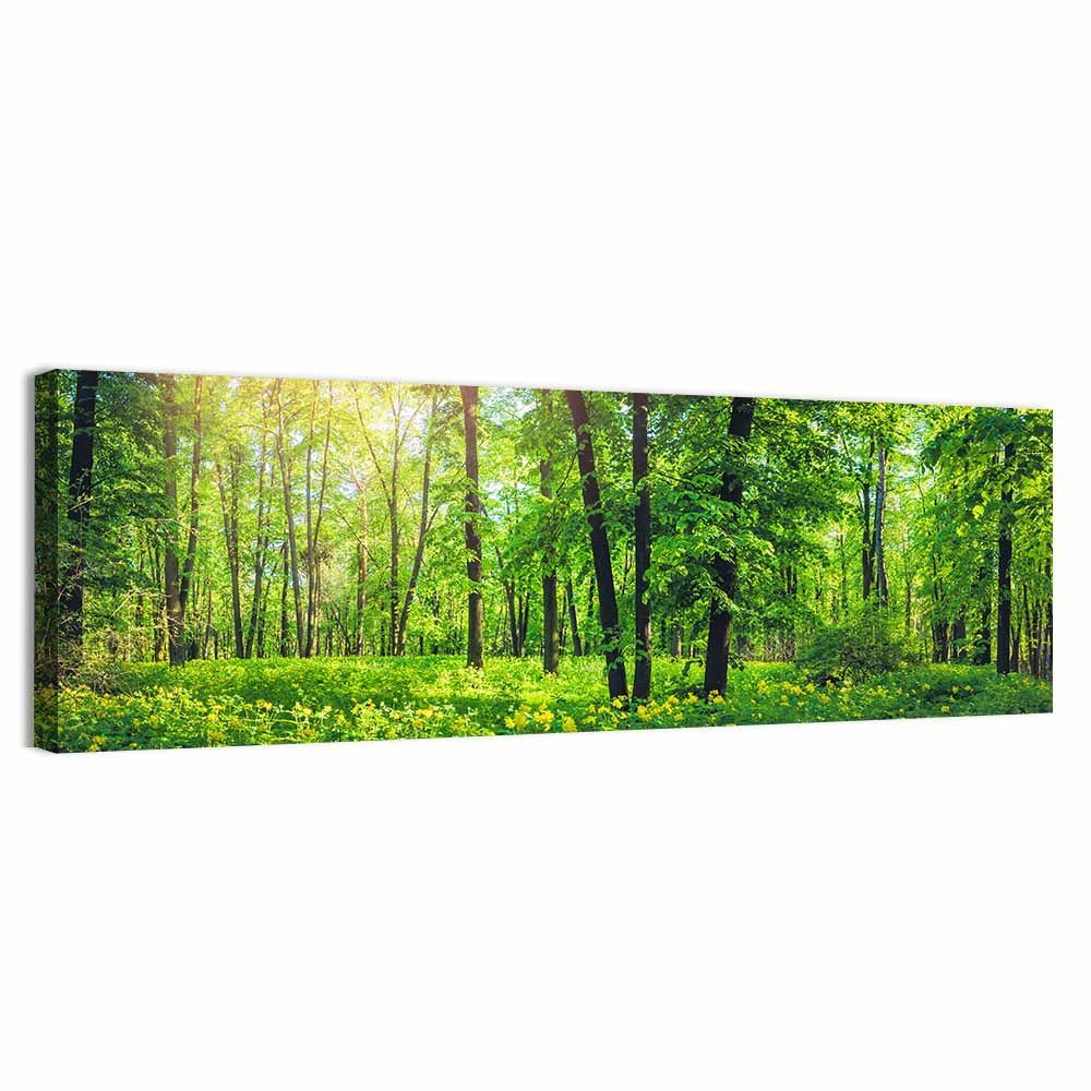 Sunlit Green Forest with Yellow Wildflowers Wall Art, canvas print, panoramic