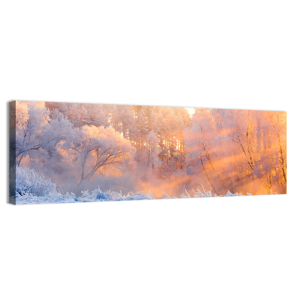 Sunlit Winter Forest Wall Art