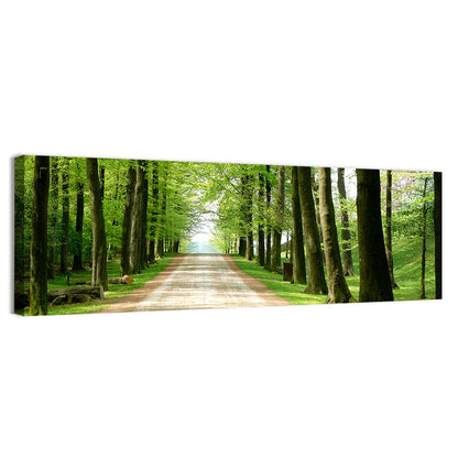 Sunlit Tree-lined Path Wall Art