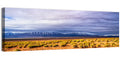 Morocco Stone Desert Wall Art