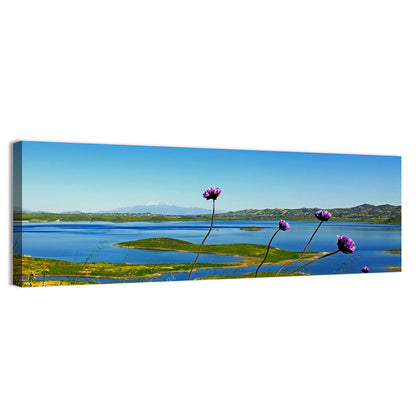 Lake Mathews Wildflower View Wall Art