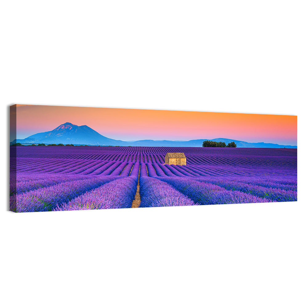Valensole Lavender Fields at Sunset Wall Art