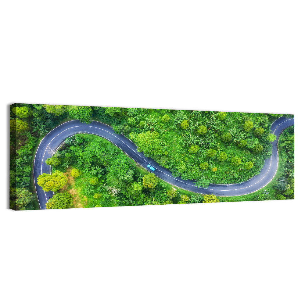 Blue Car on Summer Forest Road Wall Art