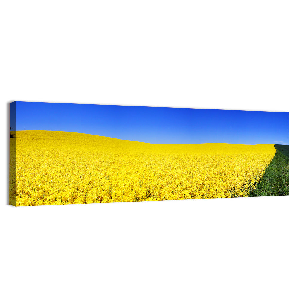 Sunlit Rapeseed Field Wall Art