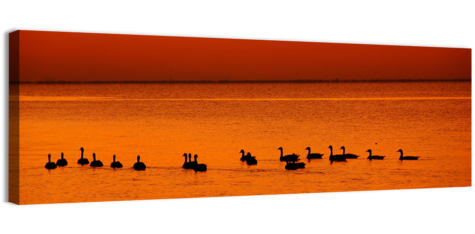 Geese Silhouettes at Orange Sunset Wall Art