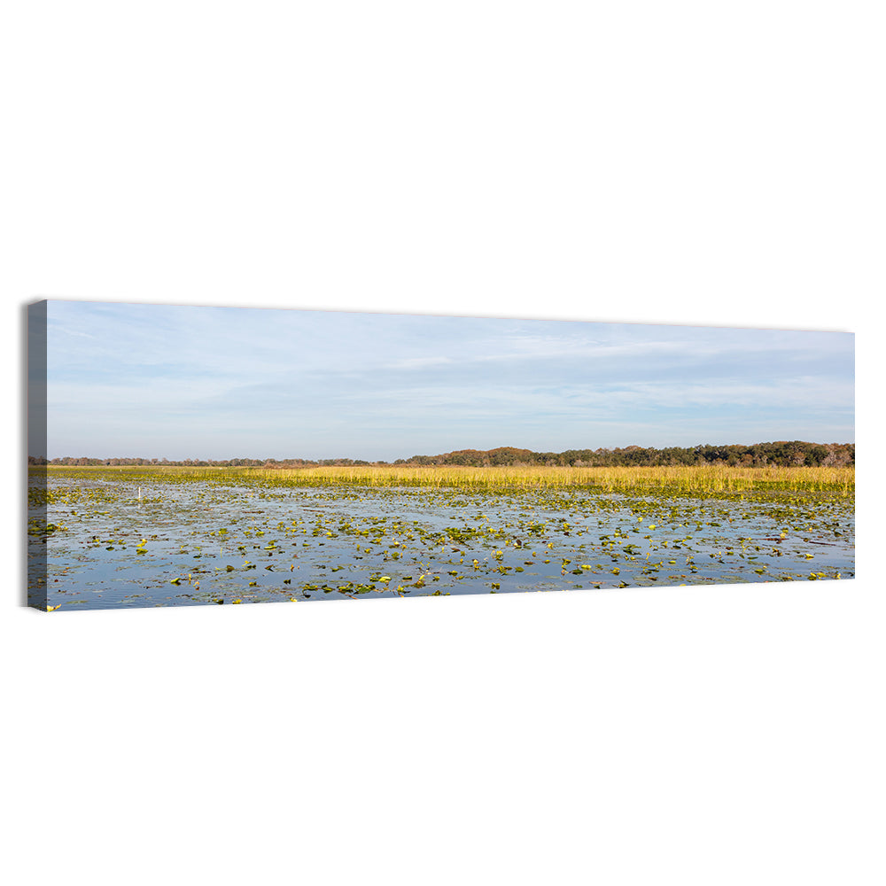 Lake Toho Lily Pads Wall Art