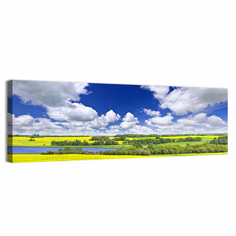 Saskatchewan Canola Field Wall Art