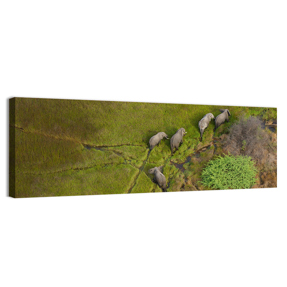Aerial Herd of Elephants Wall Art