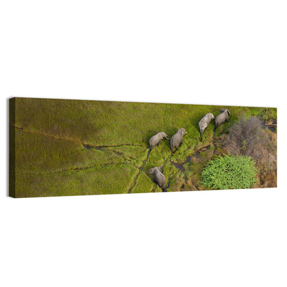 Aerial Herd of Elephants Wall Art