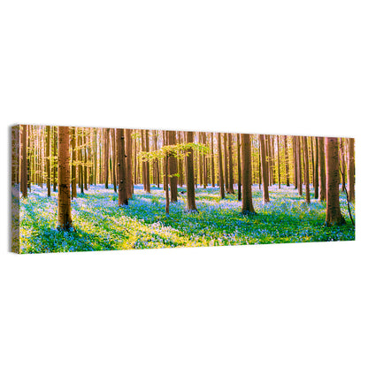 Hallerbos Bluebell Forest Wall Art