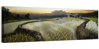 Pa Pong Peang Rice Terrace Wall Art