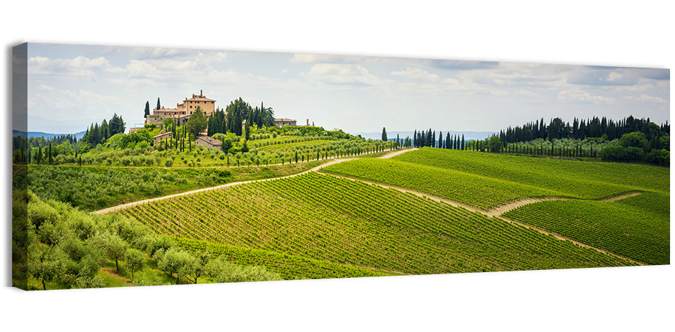 Chianti Vineyard Hills Wall Art