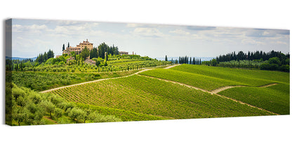 Chianti Vineyards Hills Wall Art