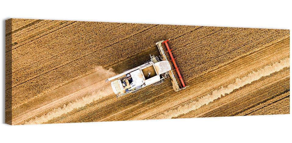Aerial Combine Over Wheat Field Wall Art