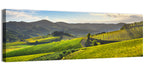 Sunlit Chianti Vineyard Wall Art