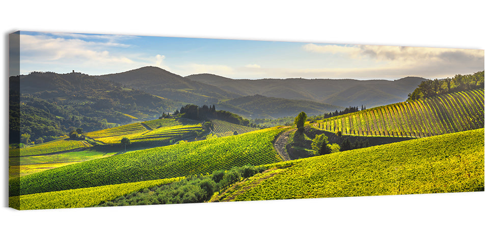 Sunlit Chianti Vineyard Wall Art