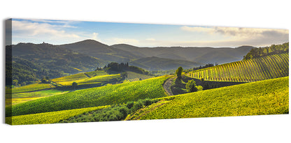 Sunlit Chianti Vineyard Wall Art