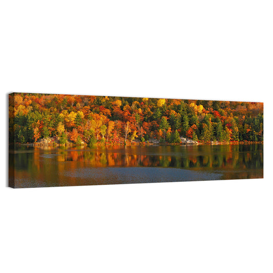 George Lake Morning Reflection Wall Art