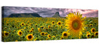 Sunflower Field with Mountains Wall Art