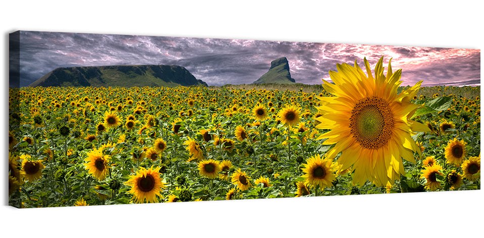 Sunflower Field with Mountains Wall Art