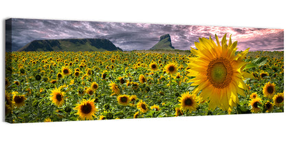 Sunflower Field with Mountains Wall Art