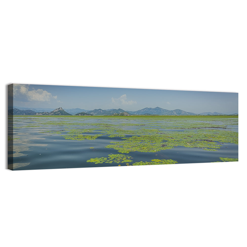 Lake Skadar Water Lilies Wall Art