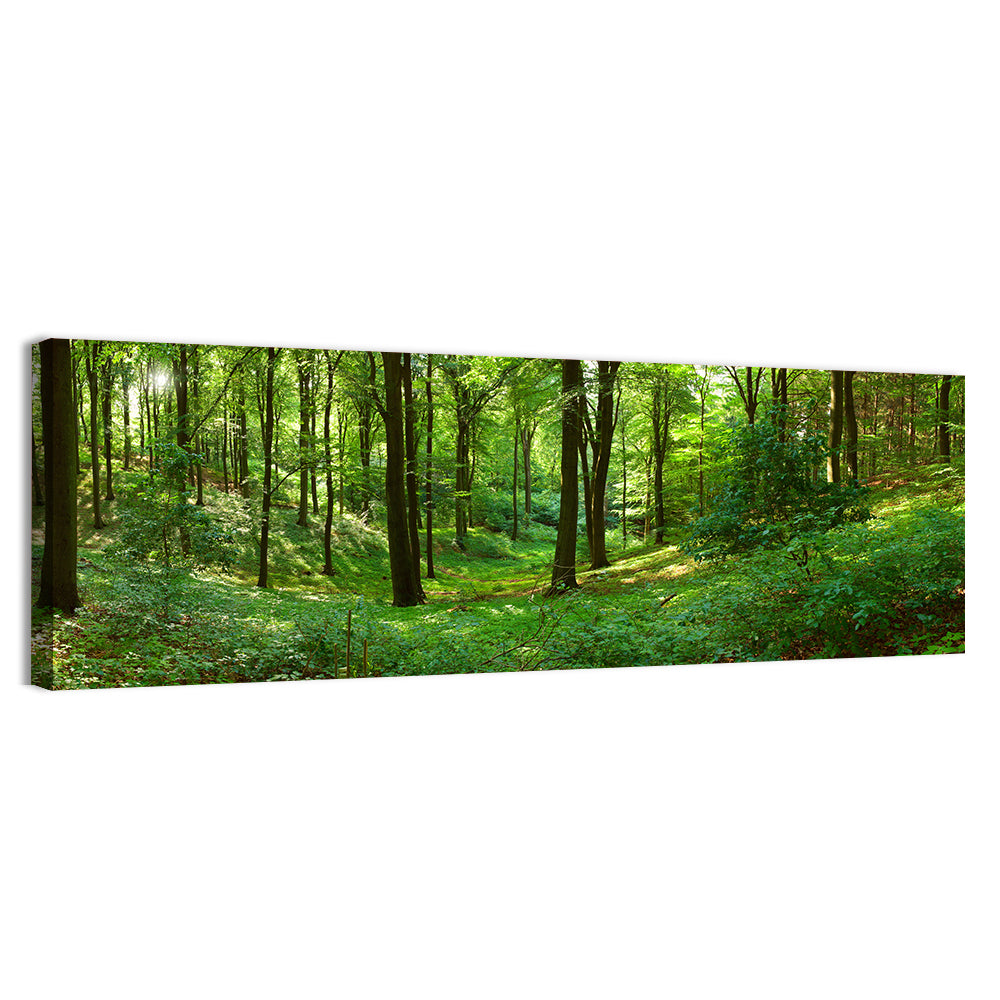 Sunlit Green Woodland Wall Art