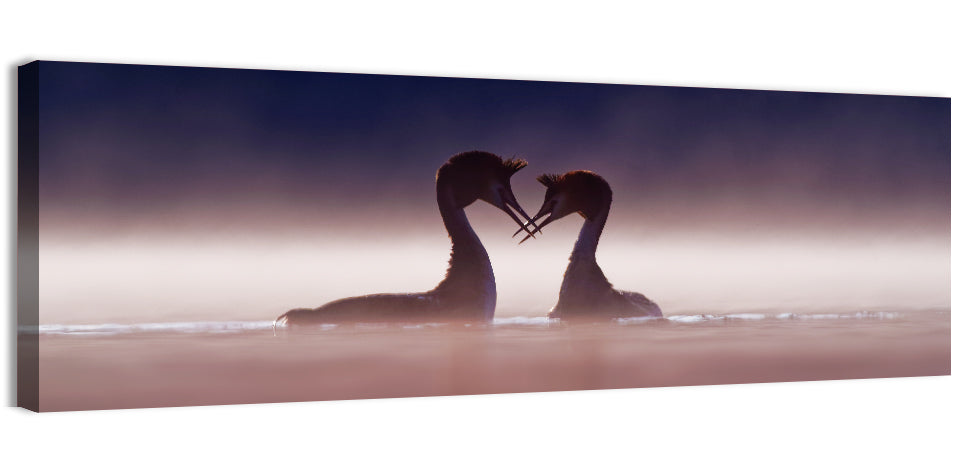 Crested Grebes in Morning Mist Wall Art