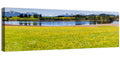 Alpine Lake Meadow with Dandelions Wall Art