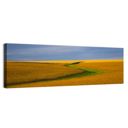 Golden Hour Soybean Field Wall Art