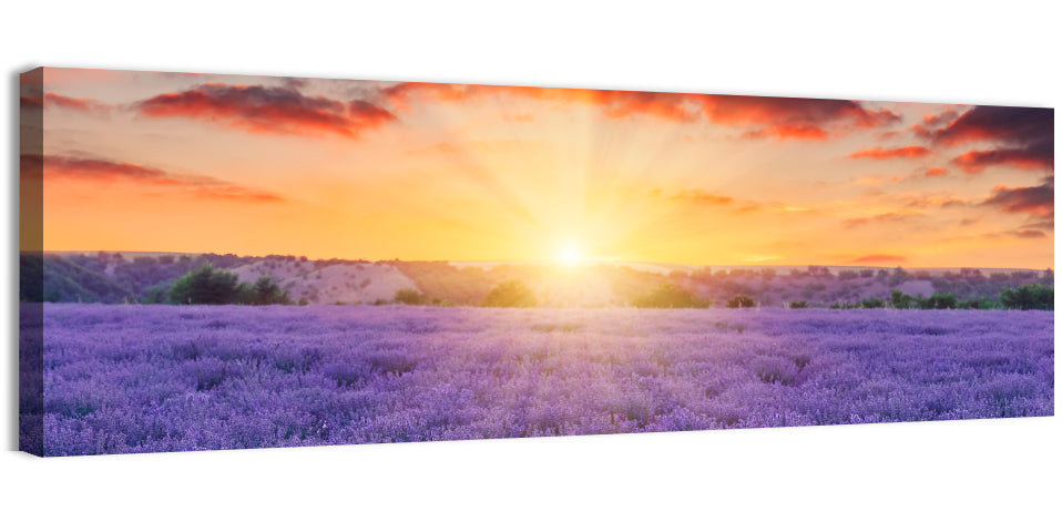 Lavender Field Sunburst Wall Art