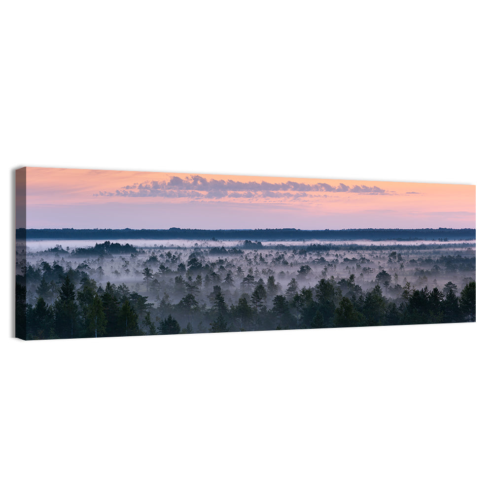 Estonian Misty Pine Landscape Wall Art