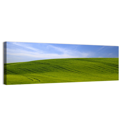 Rolling Green Hill with Blue Sky Wall Art