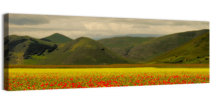 Castelluccio Wildflower Meadow Wall Art