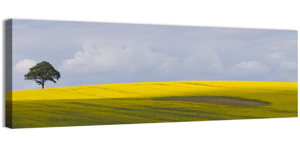 Mountain Rapeseed Field Wall Art