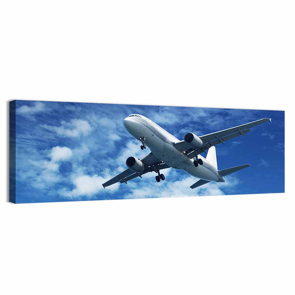 Passenger Airliner in Blue Sky Wall Art