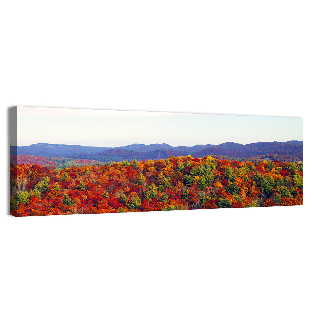Autumn in the Appalachian Forest Wall Art