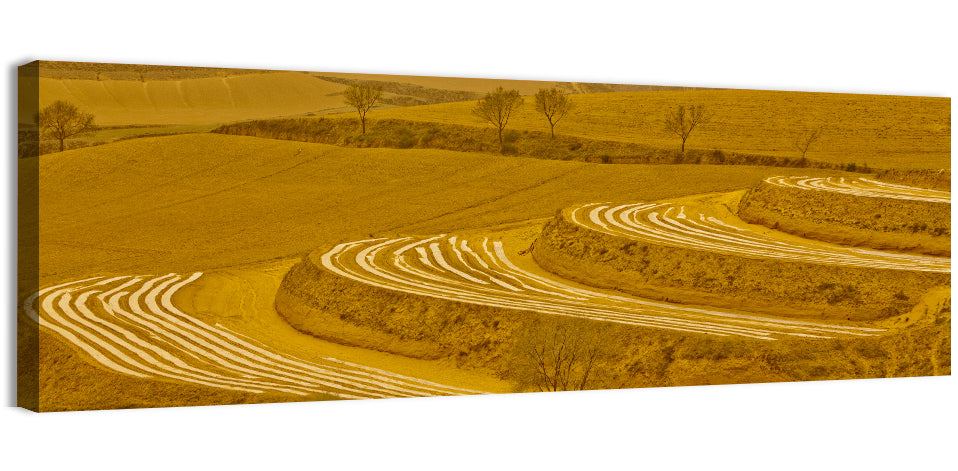 Loess Plateau Terraced Farmland Wall Art, canvas print, panoramic