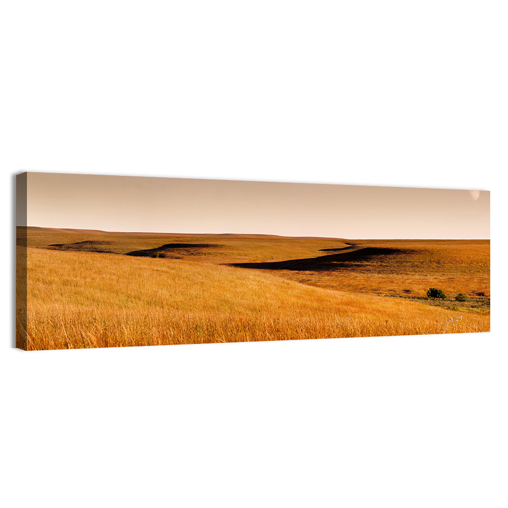 Kansas Tallgrass Prairie Wall Art