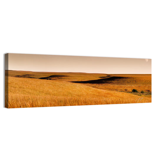 Kansas Rolling Hills Wall Art