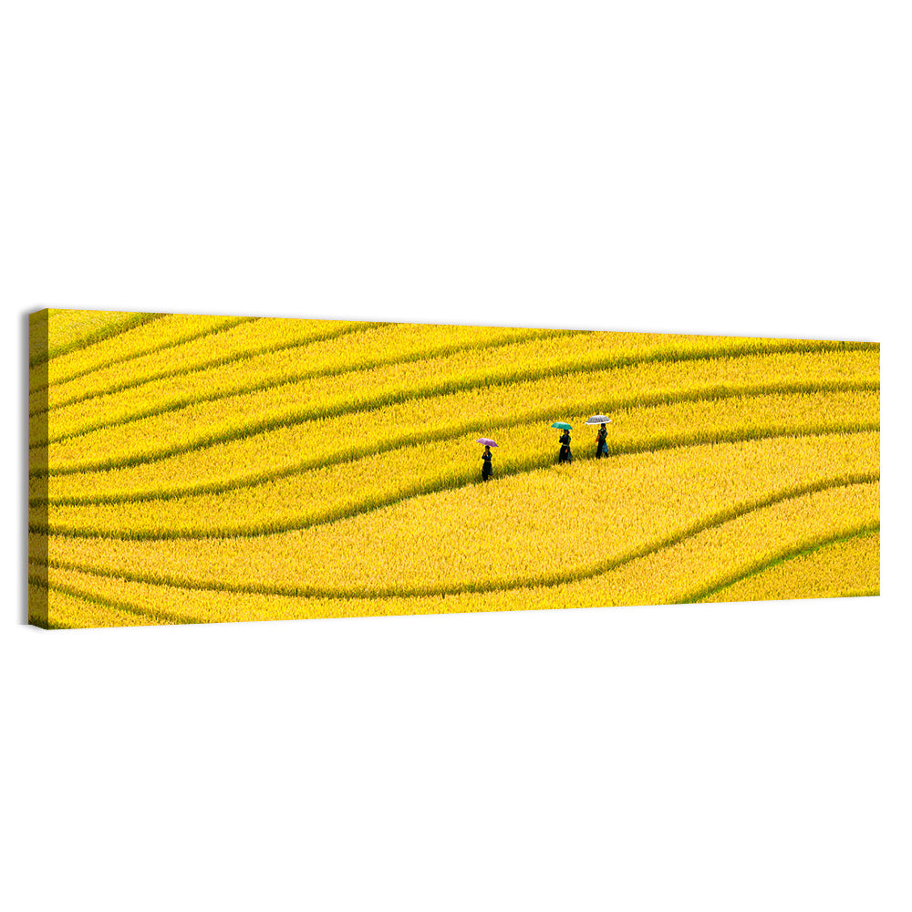 Golden Rice Terraces with Umbrellas Wall Art