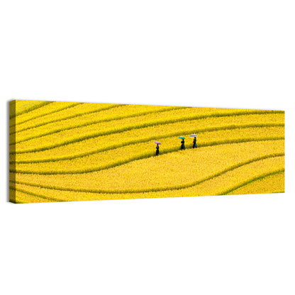 Golden Rice Terraces with Umbrellas Wall Art