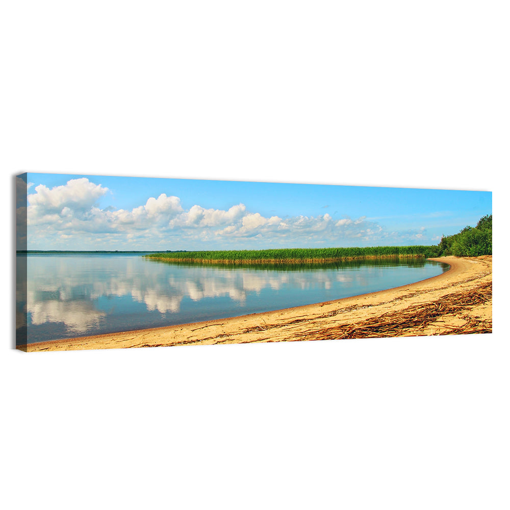 Lake Pskov Shoreline Wall Art