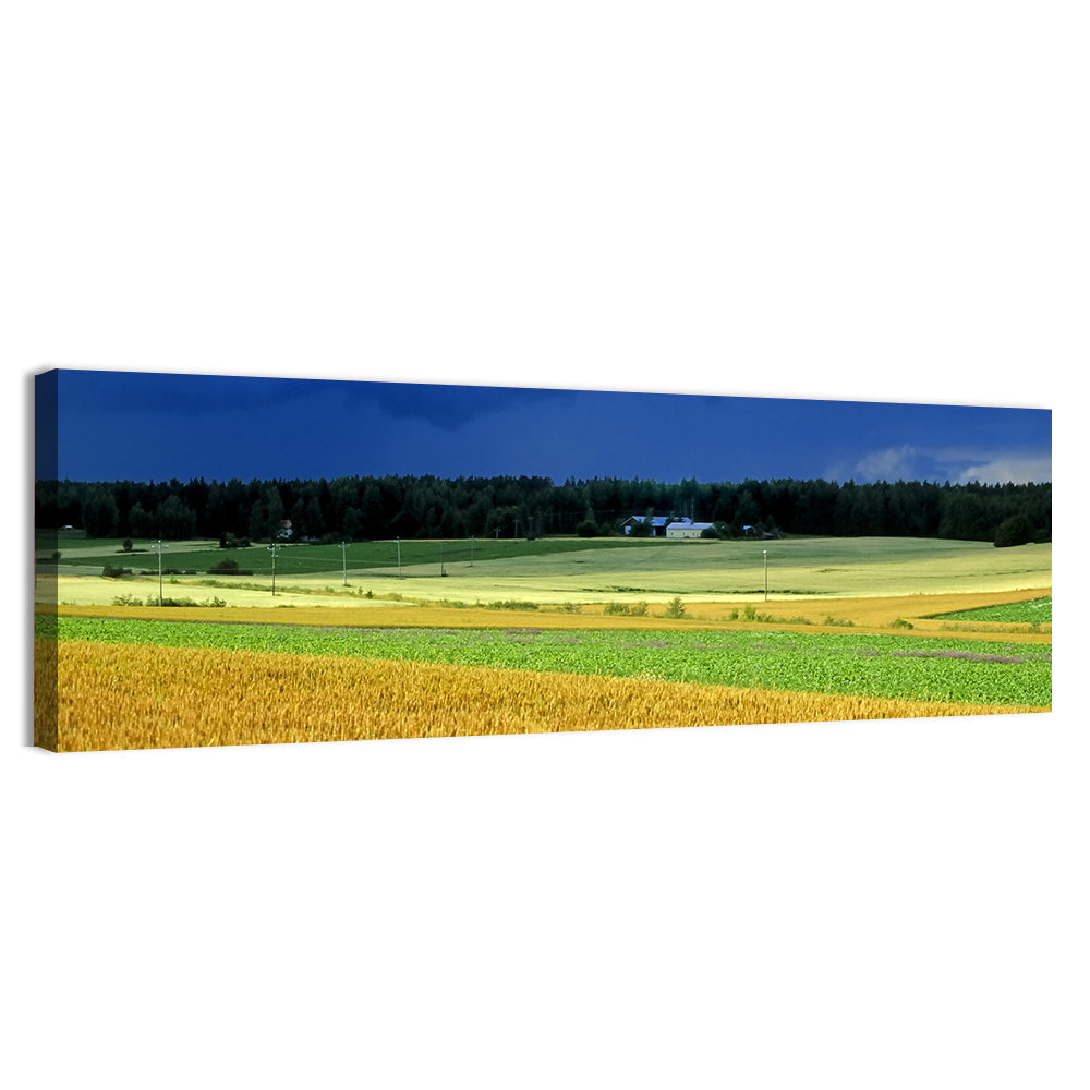 Cornfields Under Stormy Sky Wall Art